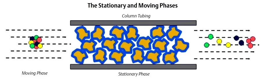 gas-chromatograph-stationary-moving-phases
