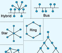 Network topologies