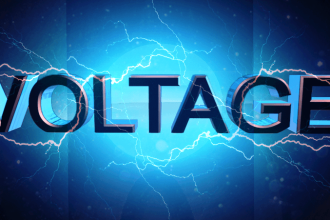 Voltage Variations Effects on Power Plant Equipment