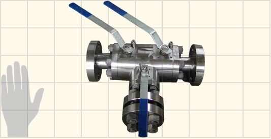 Double ball isolation with ball valve vent