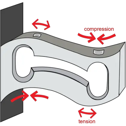 load cell in deflection