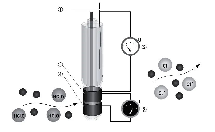 Free chlorine Analyzer Principle