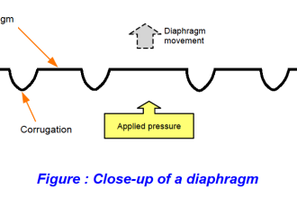 Diaphragm