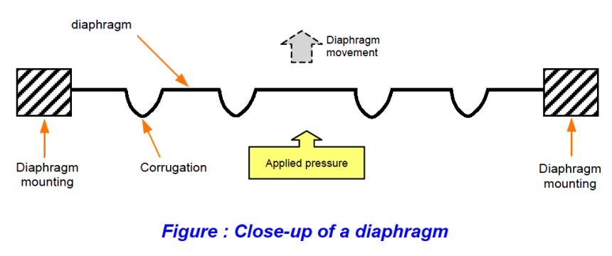 Diaphragm