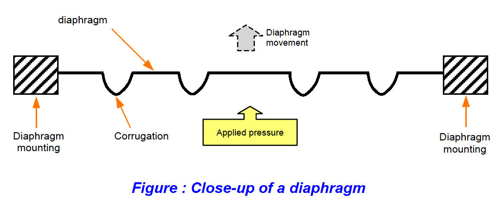 Diaphragm