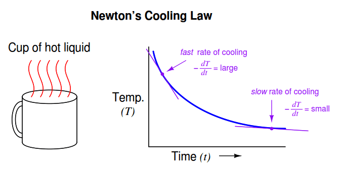 Newton’s Law of Cooling -1