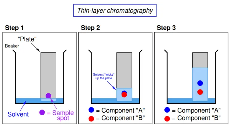 thin layer chromatography experiment introduction