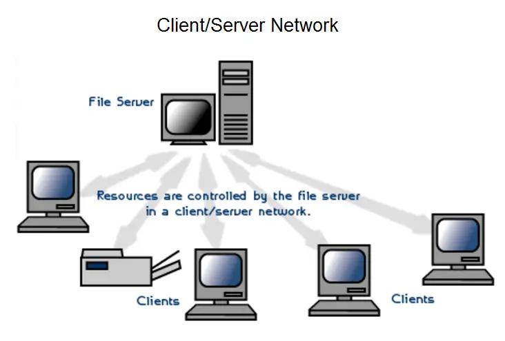 Client - server network system
