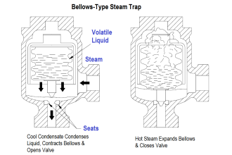 Bellows-Type Steam Trap
