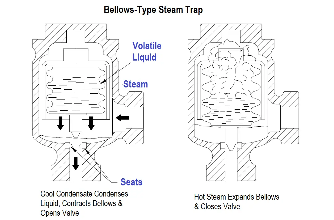 Bellows-Type Steam Trap