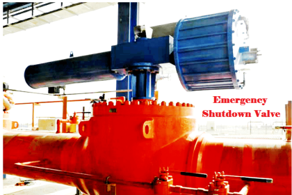 Emergency Shutdown Valve