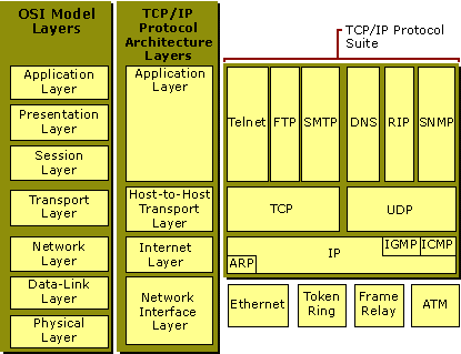 OSI Model Layers