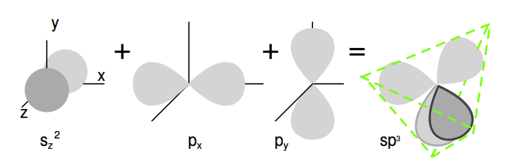 One s-orbital and three p-orbital electrons hybridize
