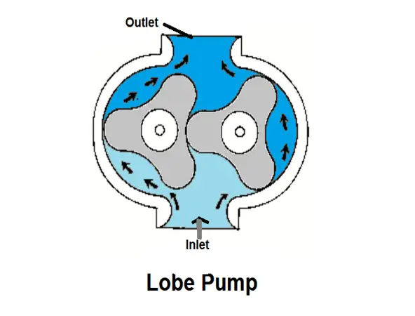 Lobe Pump