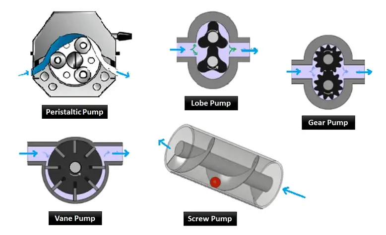 Rotary Displacement Pump