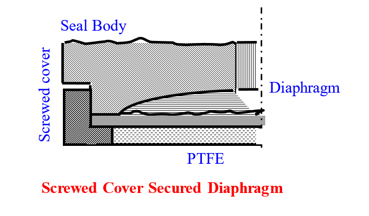 Diaphragm Sandwiched Between PTFE Gasket and Seal Body