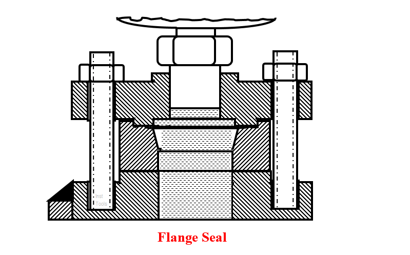 Flange Seal of Pressure Instrument