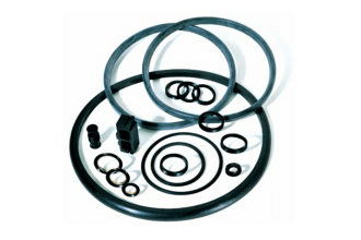 Kalrez O-ring seal