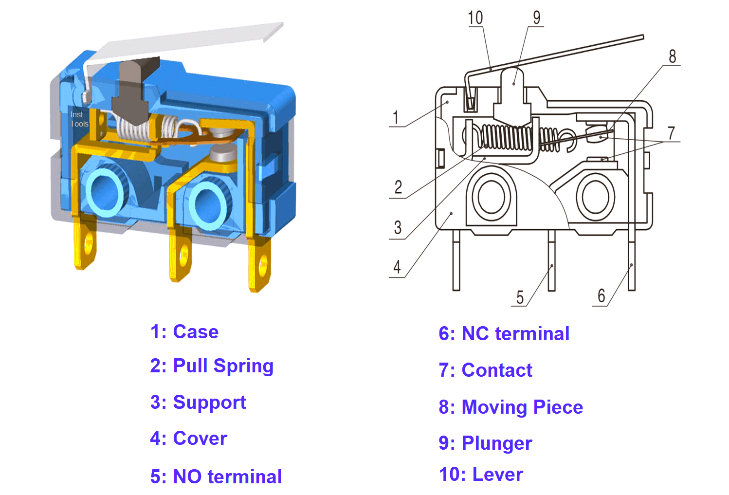 Switch Internal Components