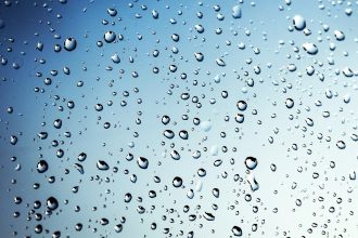 Difference Between Adhesion and Cohesion
