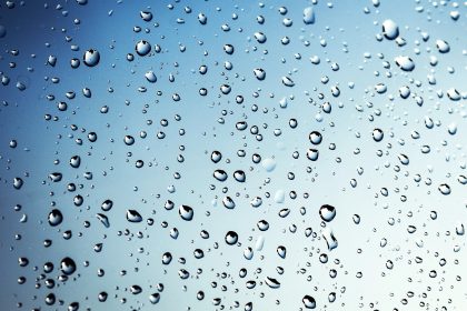 Difference Between Adhesion and Cohesion