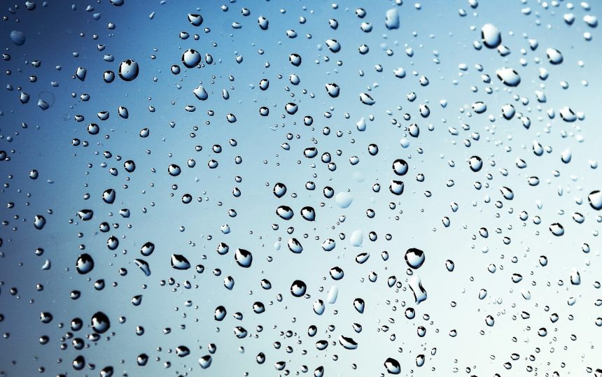 Difference Between Adhesion and Cohesion