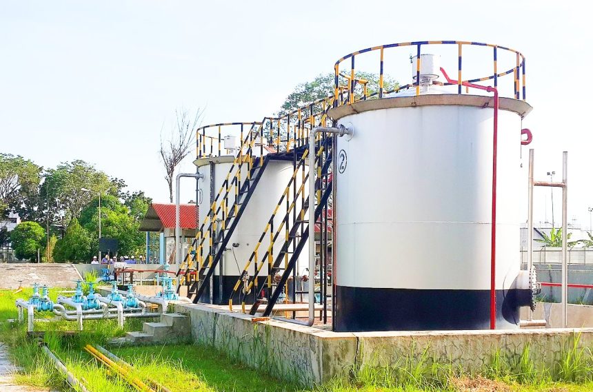 Difference Between Process and Project