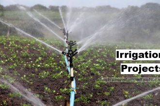 Irrigation based Projects