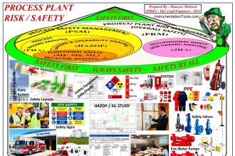 Process Plant Risk and Safety Management