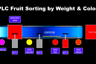 PLC Programming for Fruit Sorting by Weight and Color
